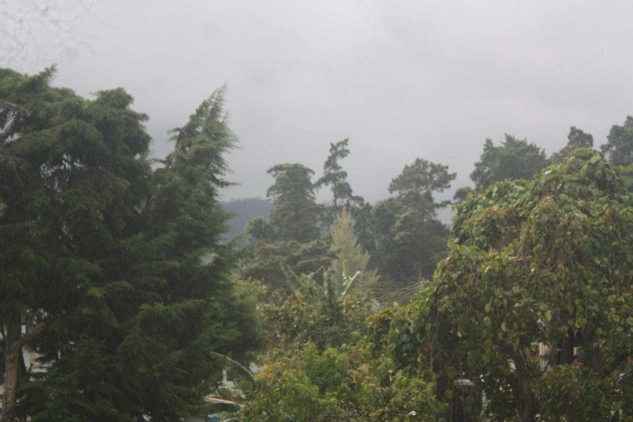 Dream Hill Homestay Nuwara Eliya Exteriér fotografie