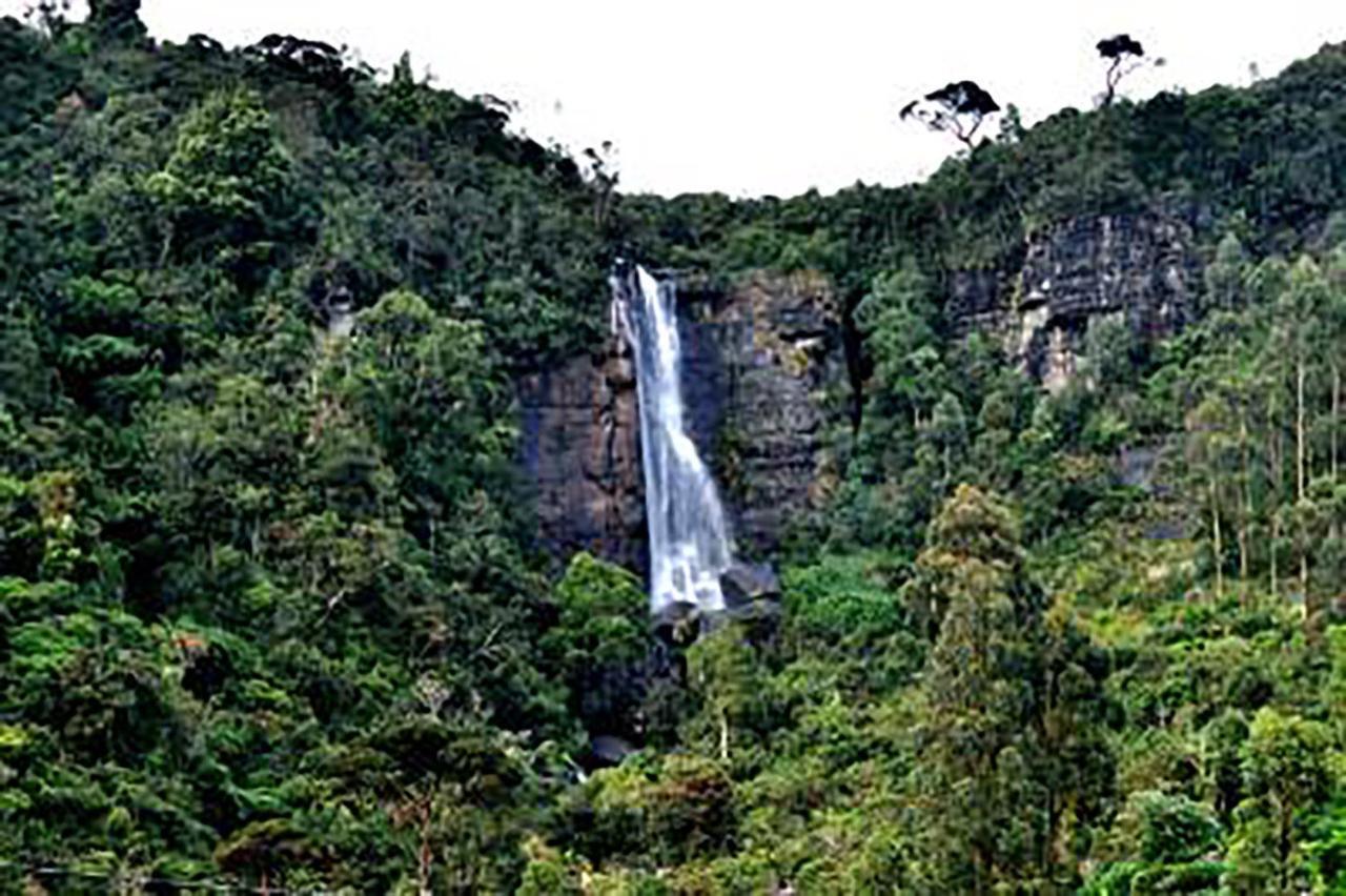 Dream Hill Homestay Nuwara Eliya Exteriér fotografie