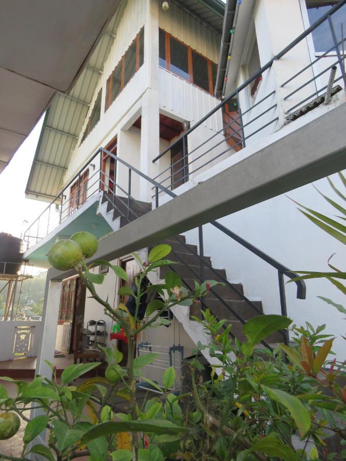Dream Hill Homestay Nuwara Eliya Exteriér fotografie