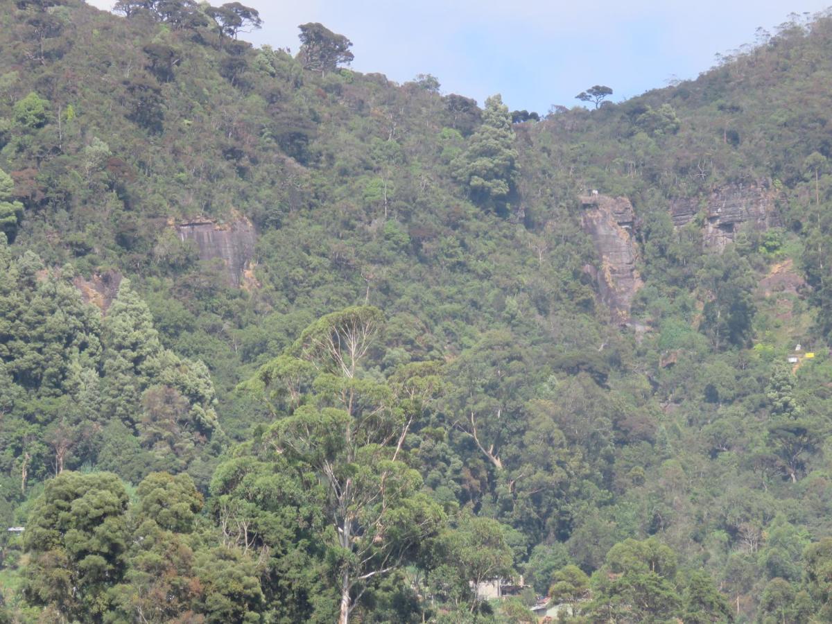 Dream Hill Homestay Nuwara Eliya Exteriér fotografie
