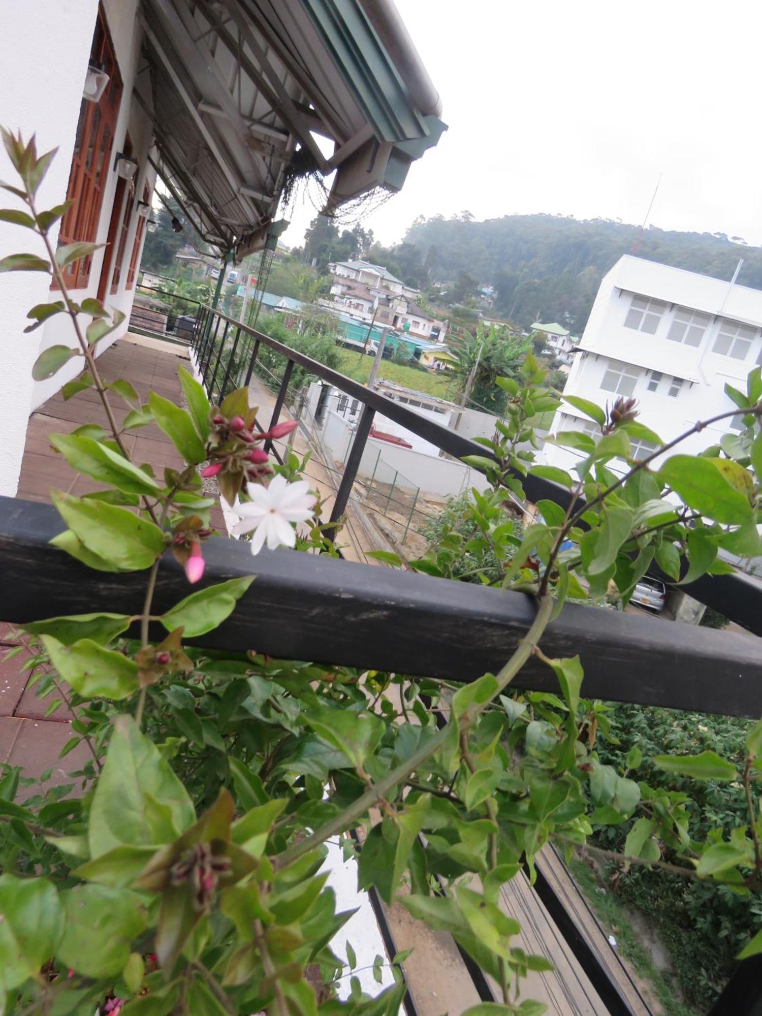 Dream Hill Homestay Nuwara Eliya Exteriér fotografie